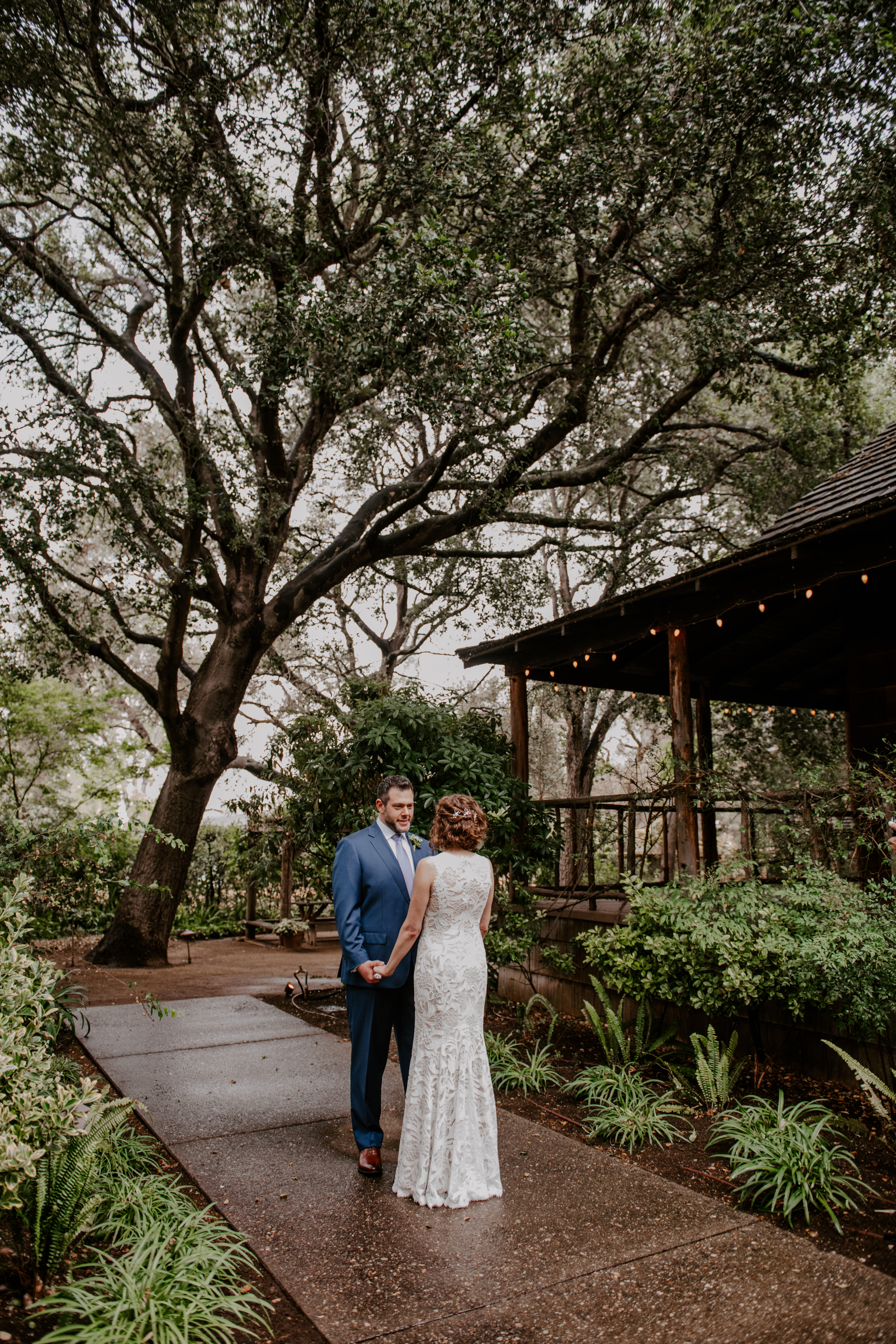 bride and groom stand under a tall tree